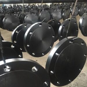 Carbon Steel Blind Flanges