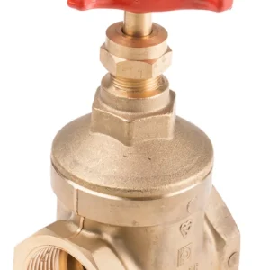 High-quality industrial gate valve supplied by Pamon Ventures Limited in Kenya and East Africa