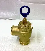 1/2 inch pressure relief valve for plumbing and pressure systems in Kenya Uganda and Tanzania