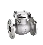 check valve 1 inch non return valve brass kenya uganda tanzania