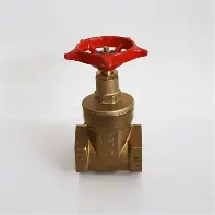 Pegler gate valve 1/2 inch brass threaded valve Kenya Uganda Tanzania