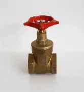 Pegler gate valve 4 inch industrial heavy duty valve Kenya Uganda Tanzania