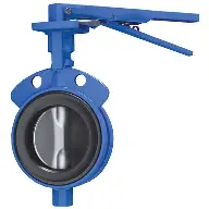 butterfly valve 2 inch industrial valve kenya uganda tanzania